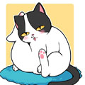 Hello余雪特 Hello余雪特