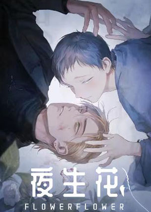 夜生花 夜生花