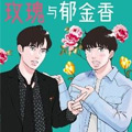 玫瑰与郁金香 玫瑰与郁金香